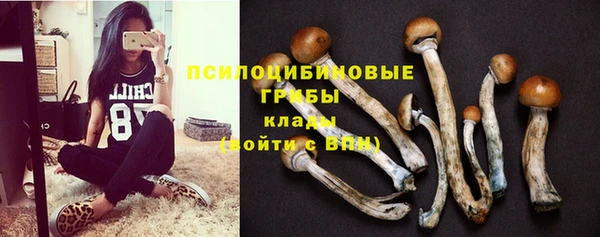 дурь Алзамай