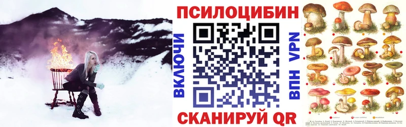 где можно купить наркотик  Юрьев-Польский  Псилоцибиновые грибы прущие грибы 